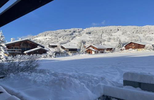 Chalet Esquinade 4 bedrooms appartment Megève - Foto 29