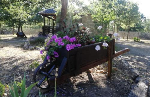 Cabañas Vallecino - Foto 9