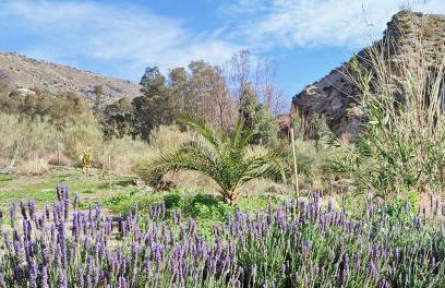 Cortijo AguaChá - Foto 32