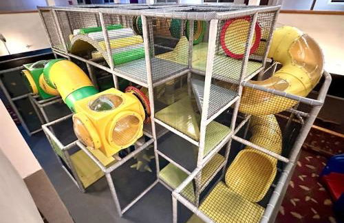 Stroll to Slopes, Village Area, Ski in-out MtLodge 237 - Foto 14