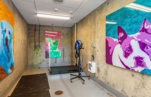 Blueground Downtown rooftop nr Marymoor Park SEA-896 - Foto 25