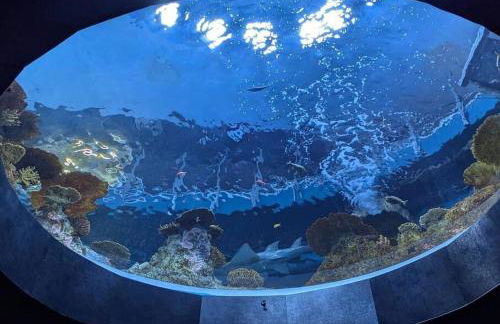 Vibrant 2bed Condo - Stroll to SEA Space Needle - Foto 39