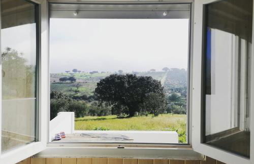 Monte Beatriz - Foto 16