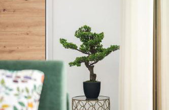 LAMAZONICO - Proche Centre - Terrasse Clim Plage - Foto 9