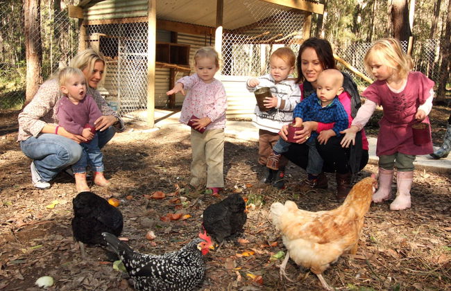 Chiltern Lodge - Photo 23