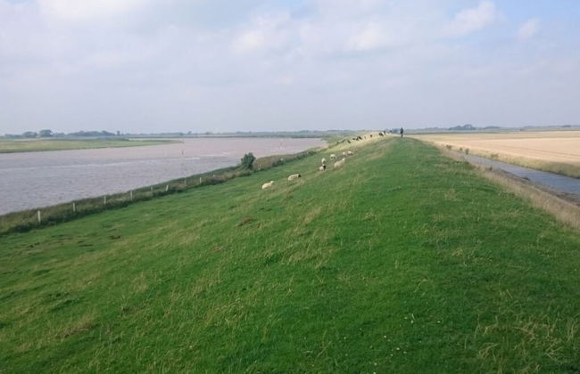 Haus Limosa Comfortable Holiday Residence - Foto 2