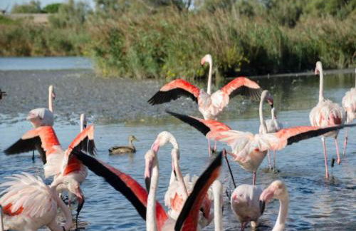 Holiday Home by Lake Idro Lombardy - Foto 32