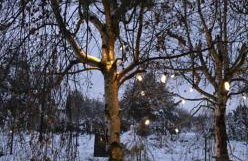 Sjesta al mare, domki z sauną i balią z jacuzzi - Foto 64