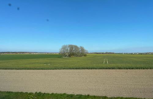 Windland-Bakenberg - Foto 13