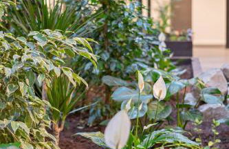 Lovely 2 Bed Apartment in Burton-on-Trent - Foto 23