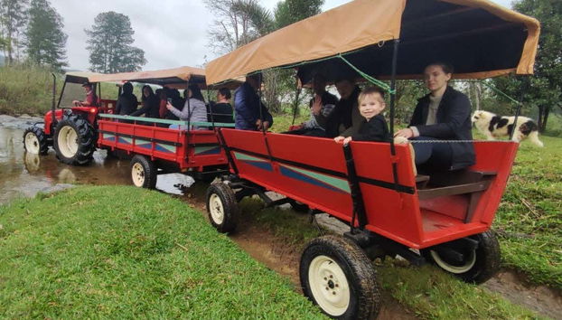 Uma atividade ideal para fazer em família!