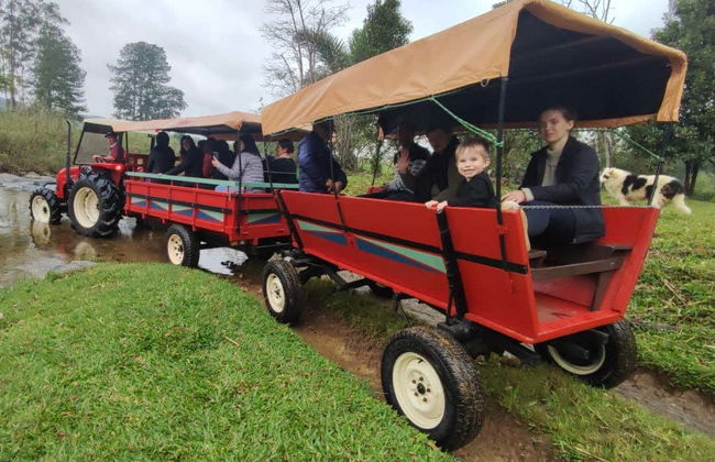 Tour pela Casa Krüger e passeio de trator na fazenda Ango Kersten - Foto 2
