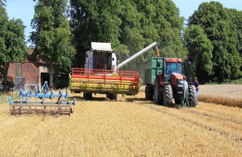 Gut Karlsminde - Foto 69