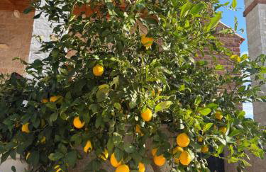 Villa Stone Pearl with heated swimming pool - Foto 46