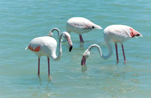 Apartment Golden Luna - Foto 23