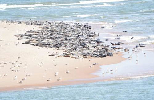 Historical North Cottage in Old Deer - Photo 31