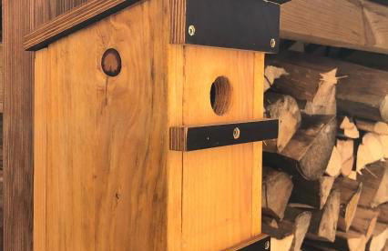 Gäste-Apartment Verweilzeit - Foto 24