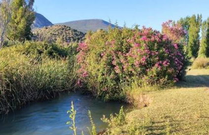 MAIN SQUARE Apartments - Photo 46