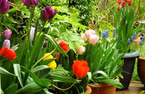 Apartmenthaus Duderstadt - Foto 13