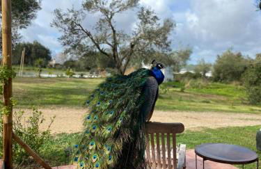 bungalow entre mer et montagne - Foto 11