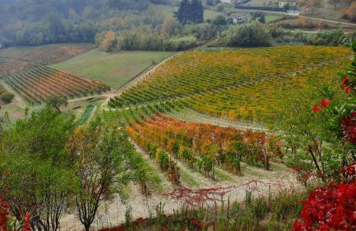 La Giribaldina Winery & Farmhouse - Foto 65