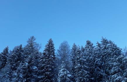 Casa per vacanze degli gnomi - Foto 19