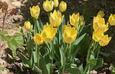 Località S Cecilia 30, Urbania - Foto 14