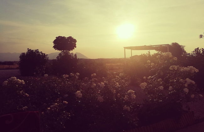 Masseria Fontana dei Fieri - Foto 45