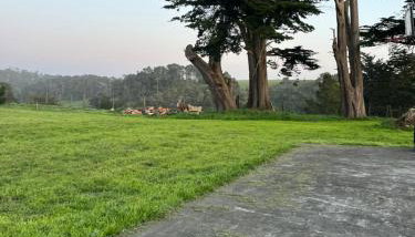 Deer's Meadow - Foto 4