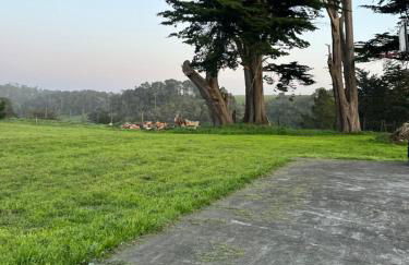 Deer's Meadow - Photo 4