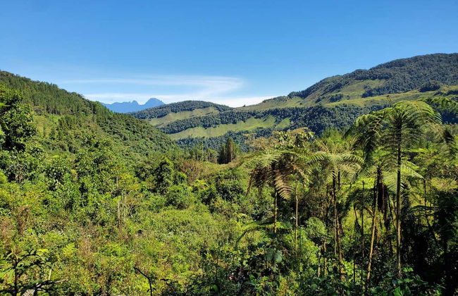 Paseo a caballo por Jardín - Photo 4