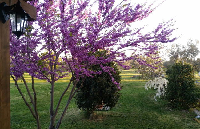 Agriturismo San Matteo - Photo 44