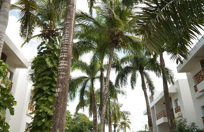 JardinesDelMontserrat - Foto 34