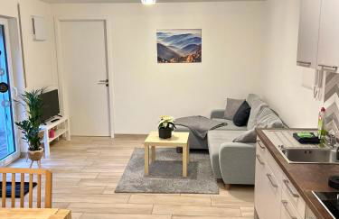 2 Zimmer Traum mit Terrasse am Kocher Jagst Radweg nähe Heilbronn - Foto 2