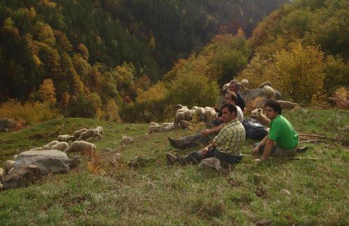 La Cabanya de Cal Forn de Serrat - Foto 17