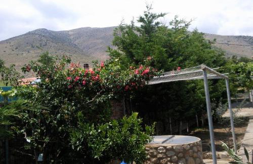 Elea Guesthouse - Photo 73