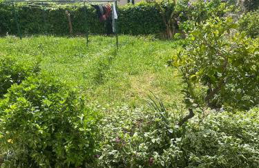 Apartment DB - Foto 17