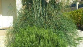 Villa Mir Pridraga - Foto 2, Garden