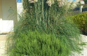 Villa Mir Pridraga - Photo 2