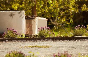 Quinta do Marmeleiro - Casa Marmeleiro - Foto 34