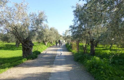 Villa Rastoni - Foto 49