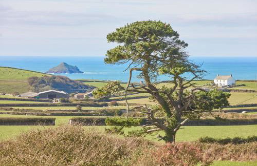 Little Seawynds - Foto 42