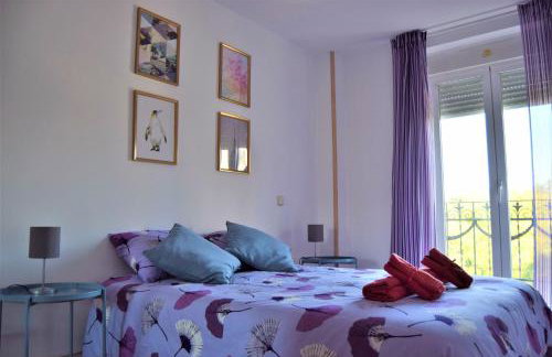 INCREIBLES VISTAS.Parkingopcional. Palacio/catedra - Foto 15