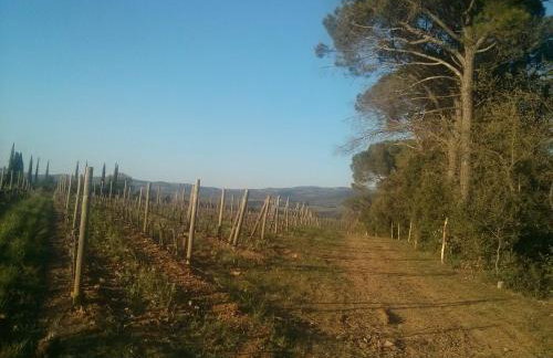 Argiano Dimore Wine Relais - Foto 127