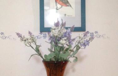 Casa Las Violetas - Photo 14