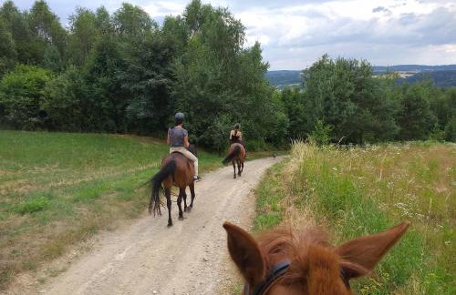 Świerkowe Rancho - Foto 16