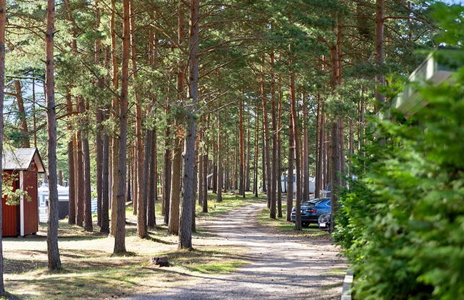 First Camp Åhus - Foto 44