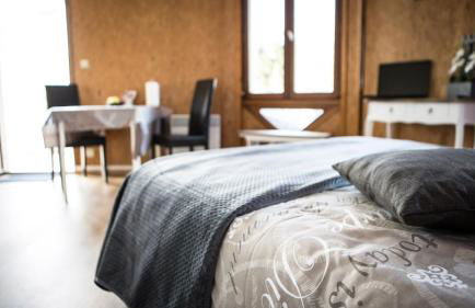 Studios étape du Lac - Foto 15