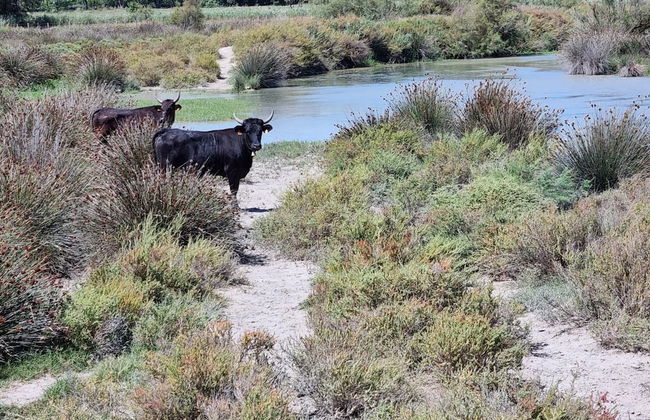 La Cabane du Boumian - Foto 67
