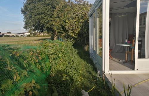 Gîte Bouconne Pibrac - Foto 25